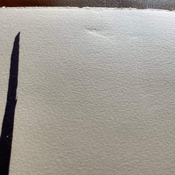 Salvador Dali Signed Limited Edition Lithograph - Picture 10 of 15